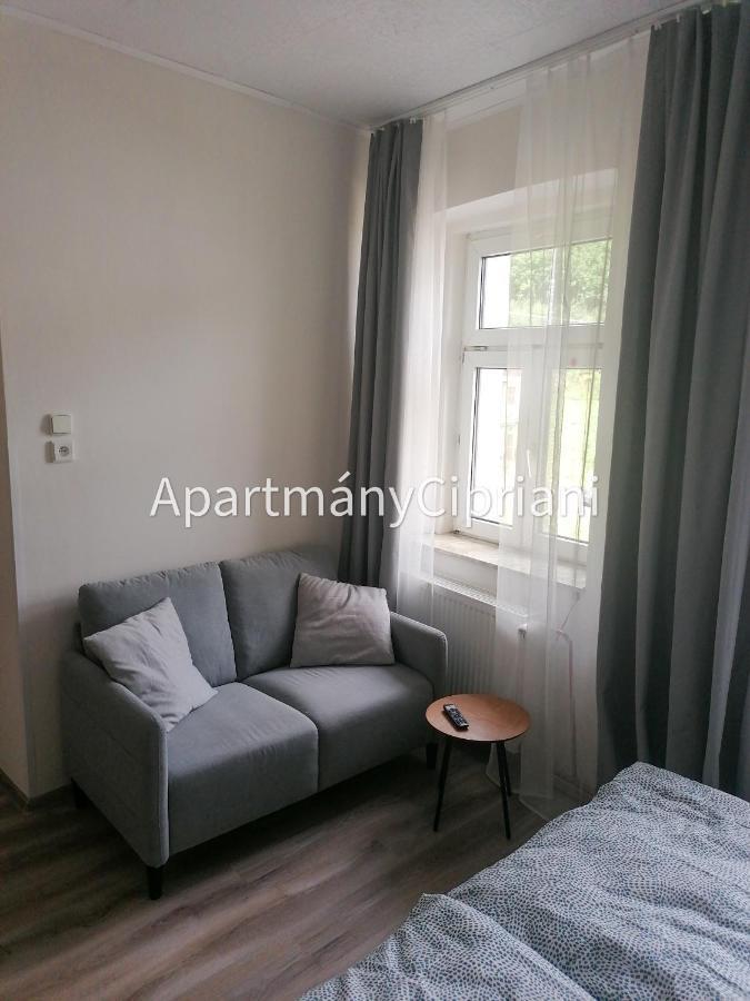 Apartmany Cipriani Jachymov Εξωτερικό φωτογραφία
